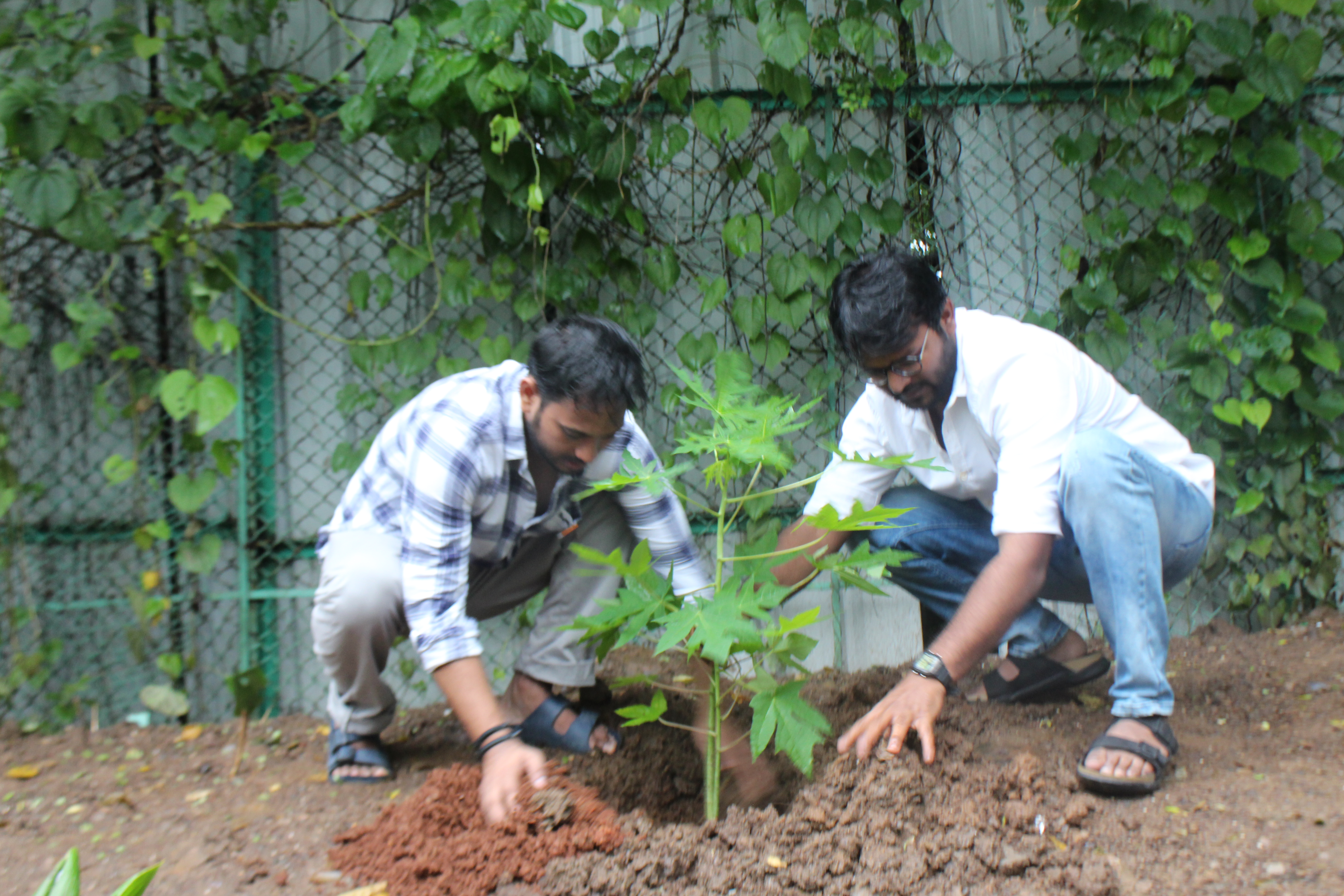 Plantation Drive