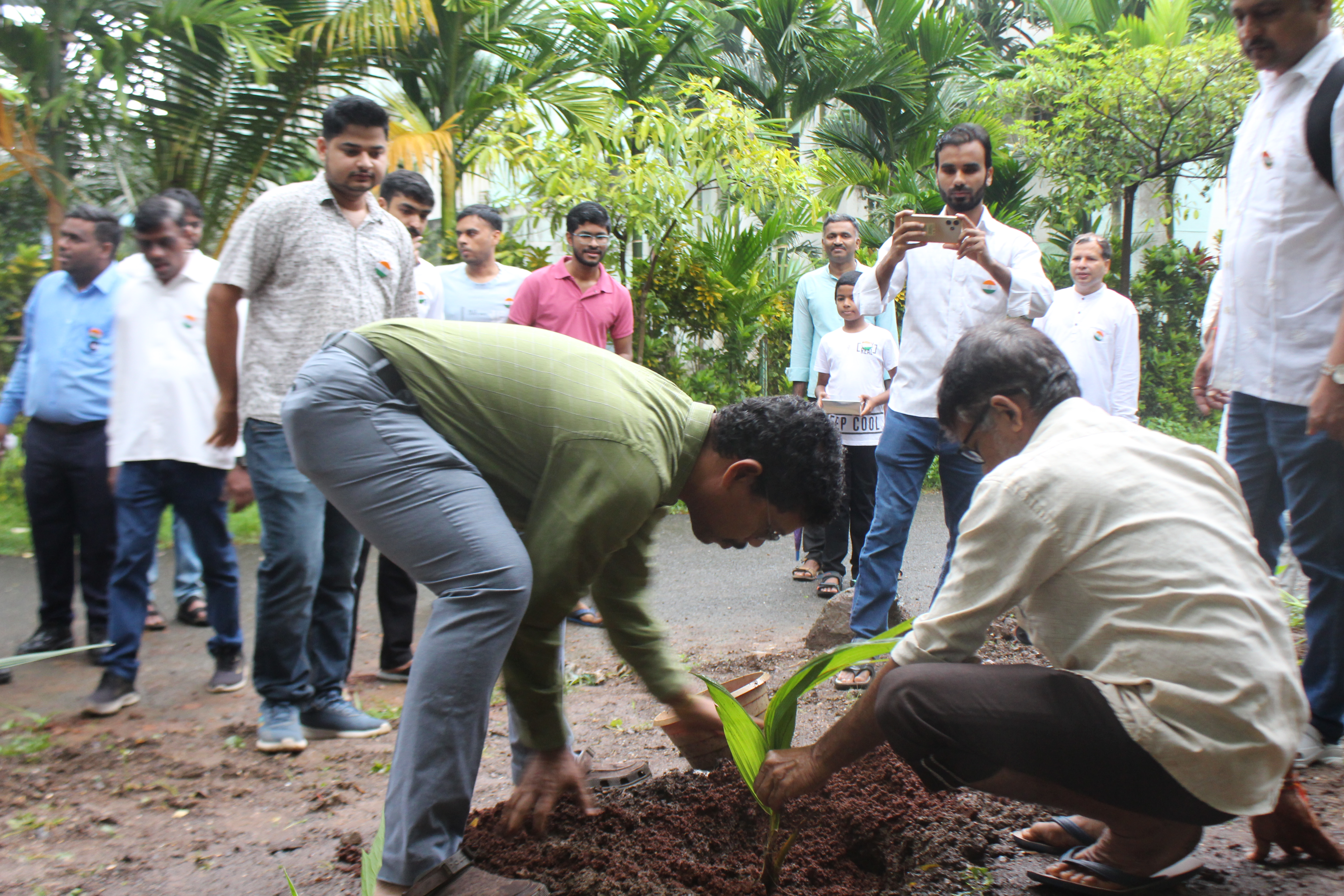 Plantation Drive