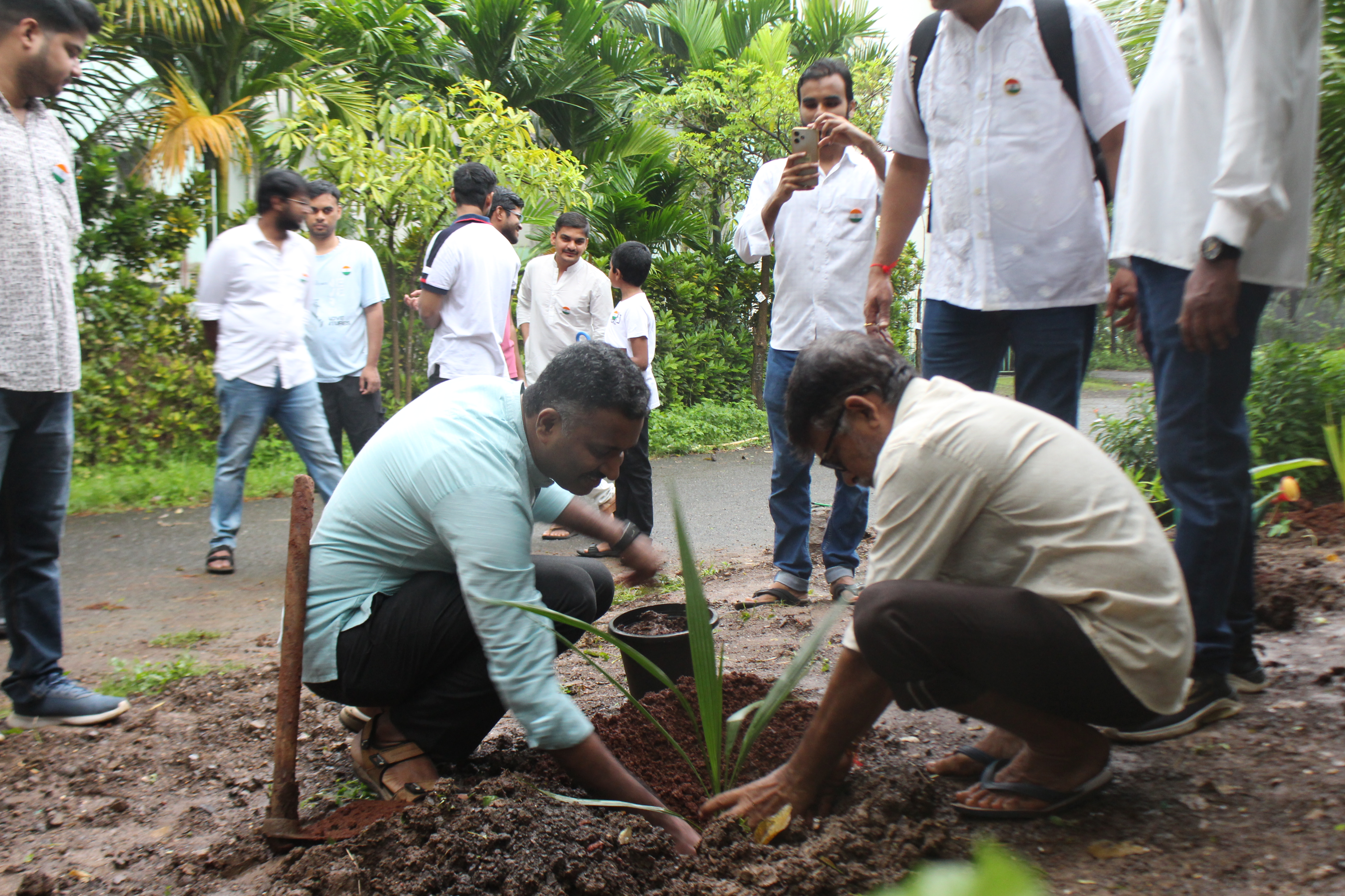 Plantation Drive