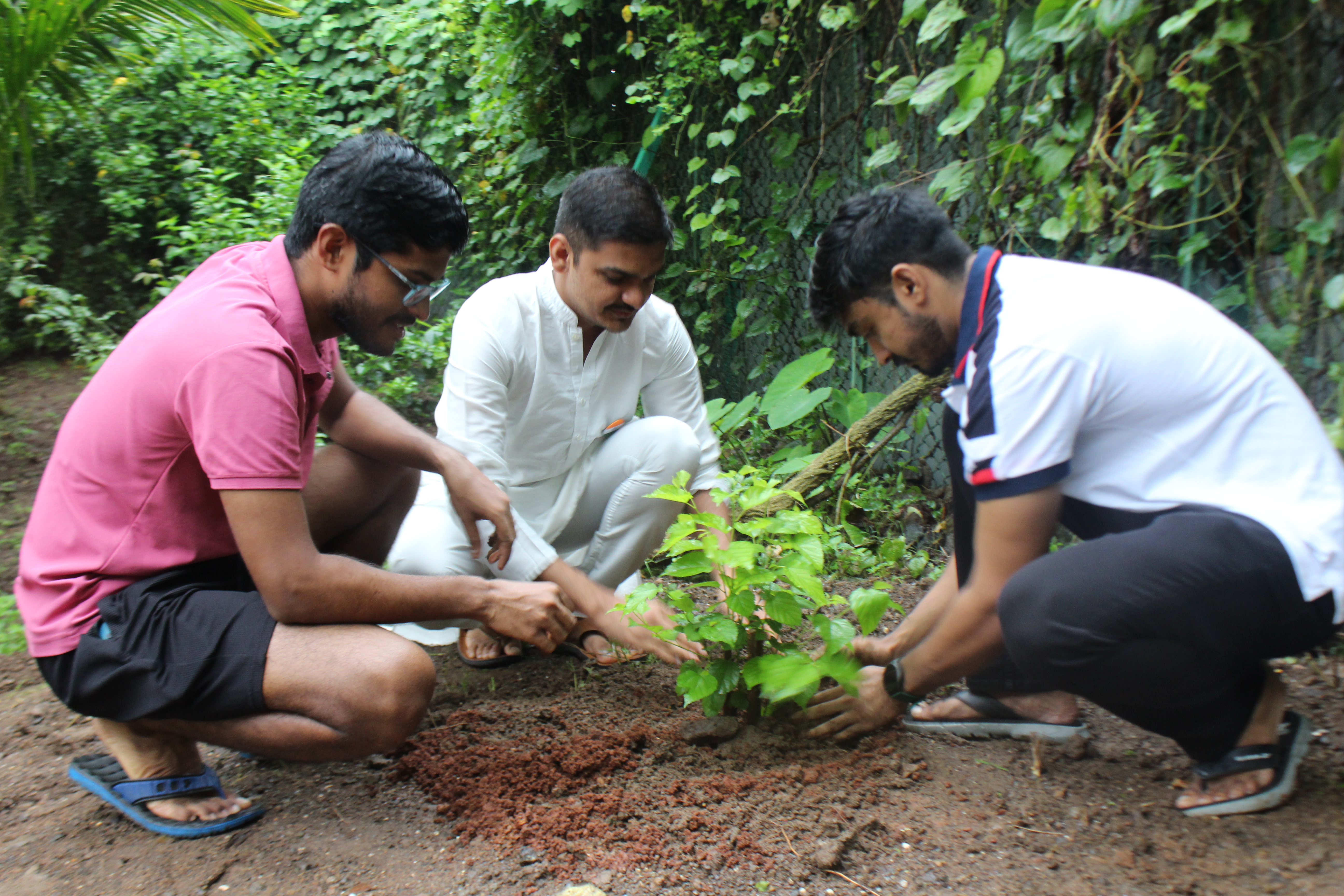 Plantation Drive